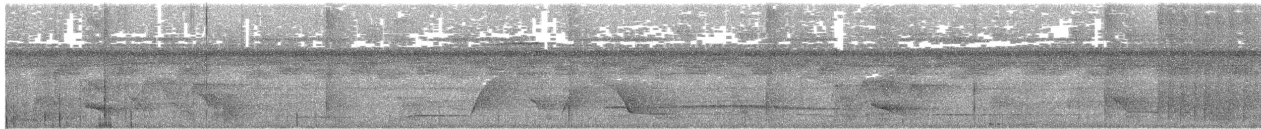 Rufous-vented Ground-Cuckoo - ML658938838