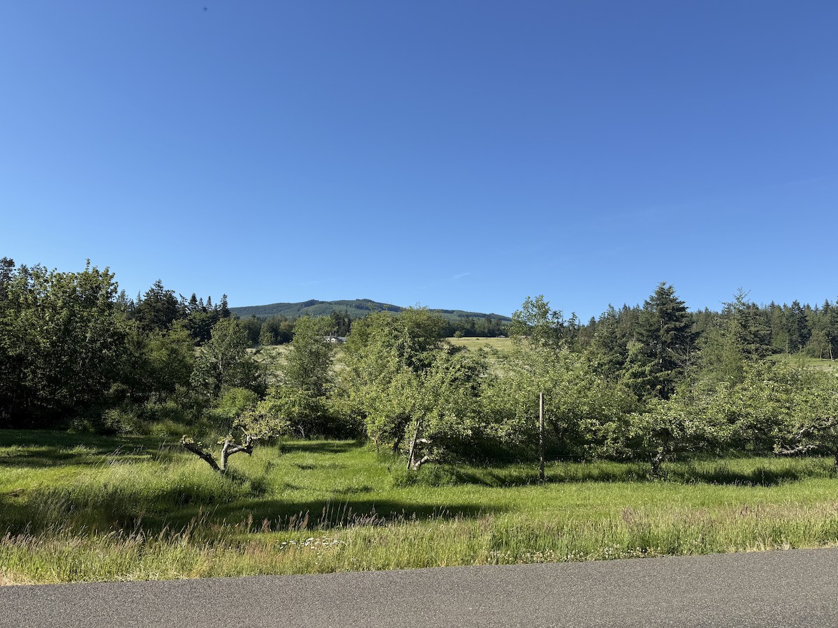 null - ML658940771