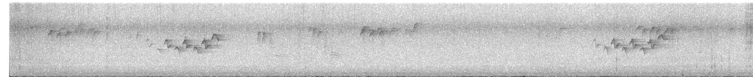 Magnolia Warbler - ML658942916