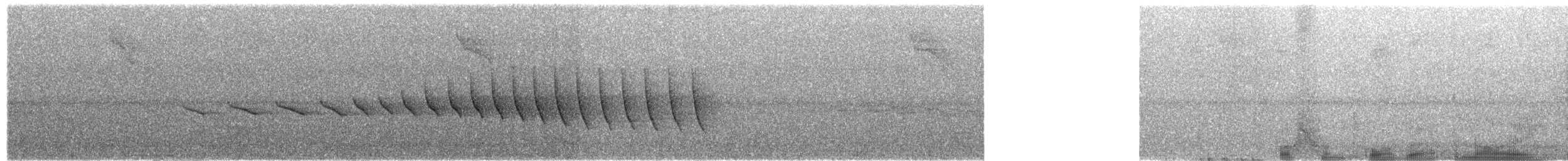 Schmätzerwaldsänger - ML658944170