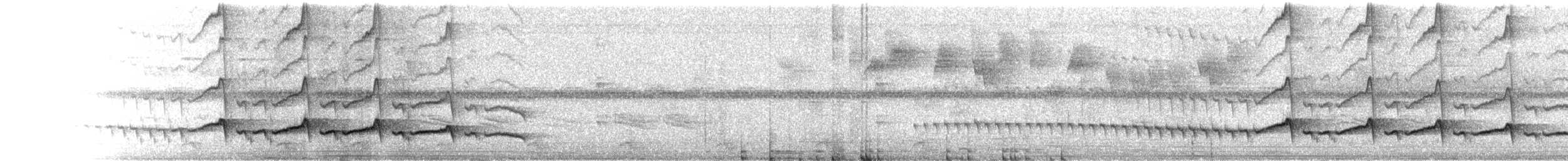 Braunsensenschnabel - ML658944223