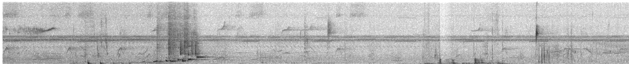 Breithauben-Stirnvogel - ML658944305