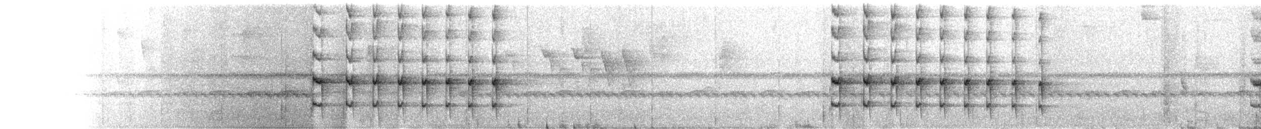 Olivbauch-Baumspäher - ML658944357