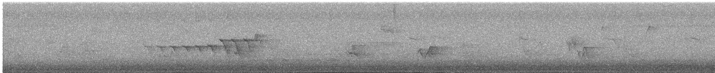 Yellow-rumped Warbler (Myrtle) - ML658952685