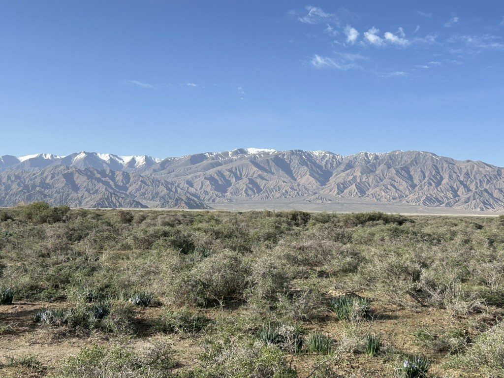 null - ML658964380