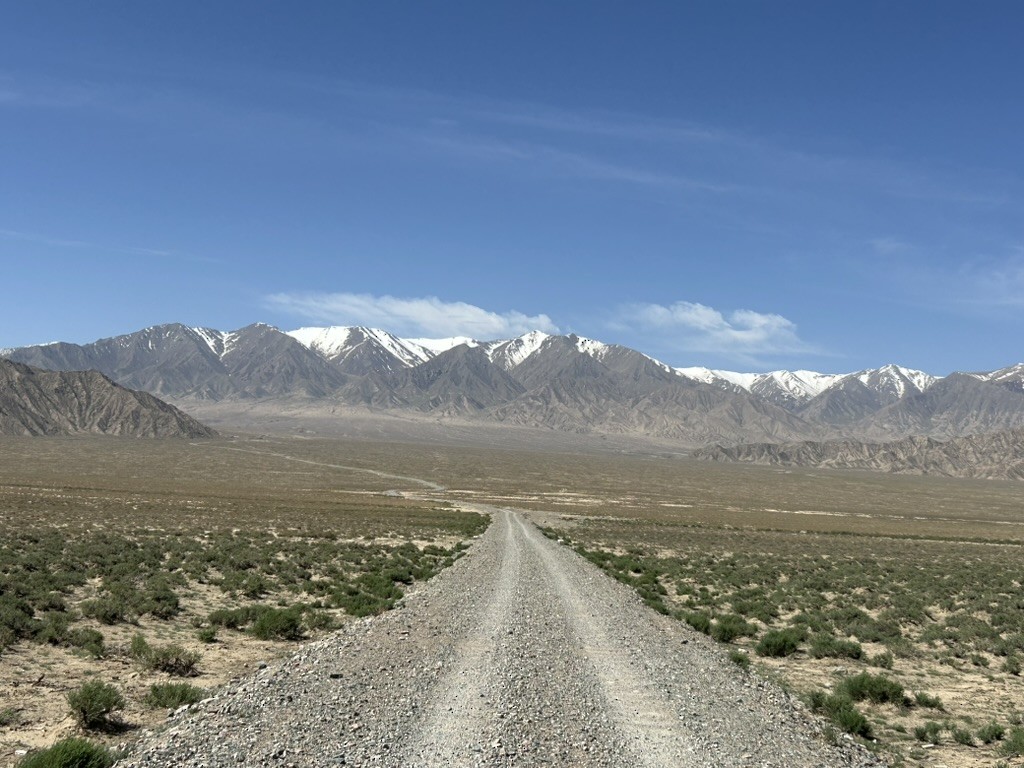 null - ML658964653
