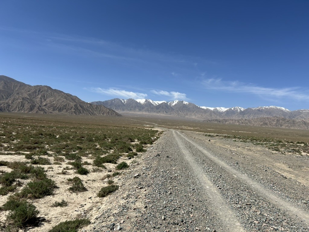 null - ML658964654
