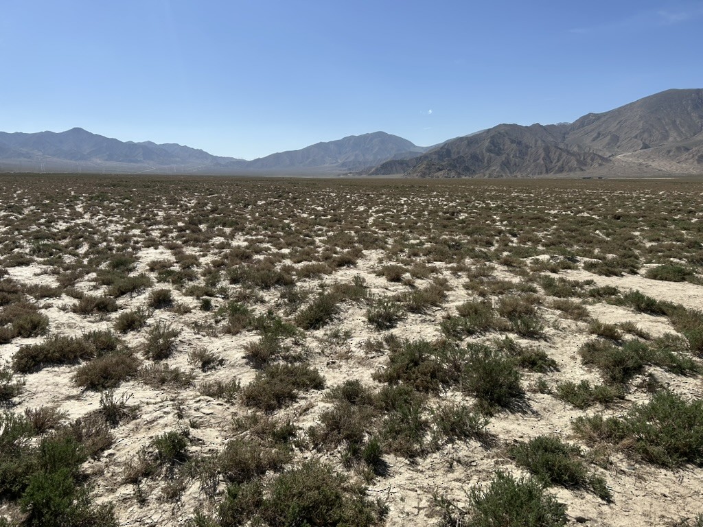 null - ML658964655