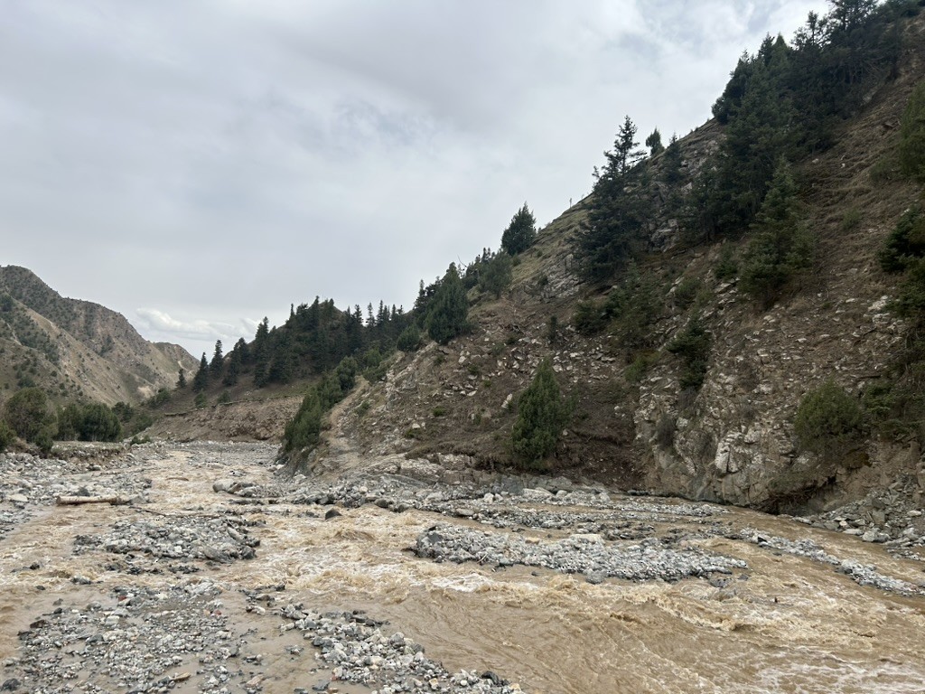 null - ML658965319