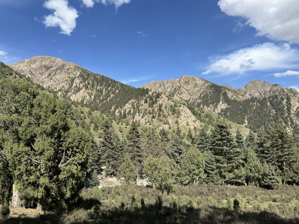 null - ML658965320