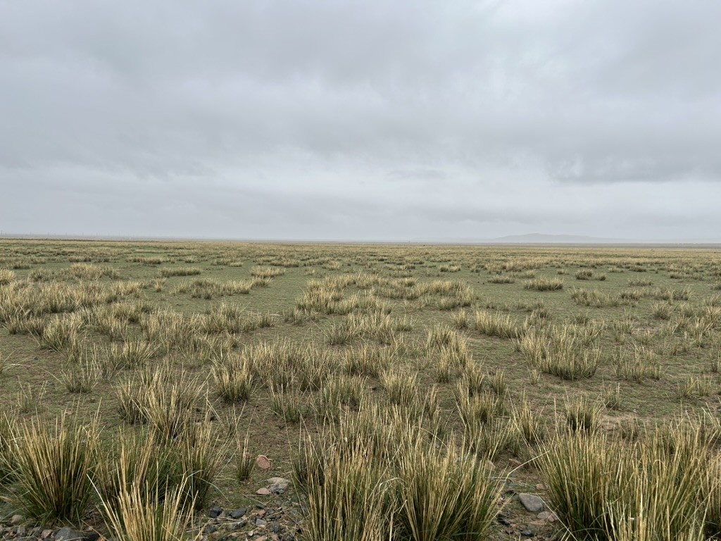 null - ML658965817