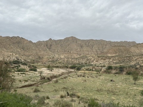 null - ML658981458