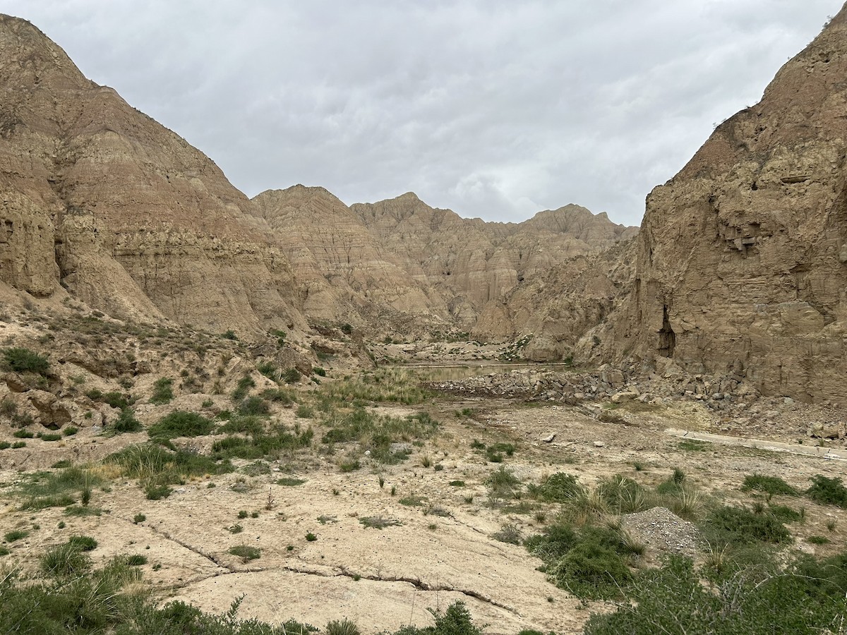 null - ML658981460