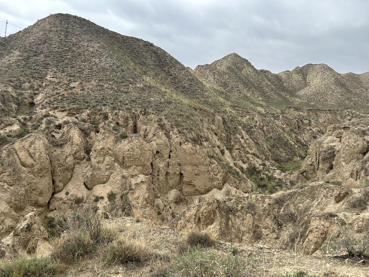 null - ML658981461