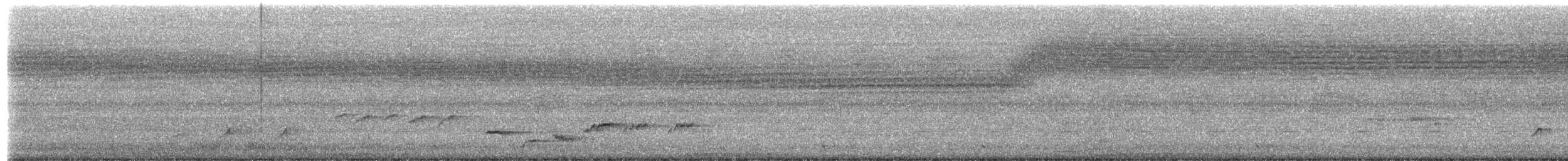 White-rumped Shama - ML658984286