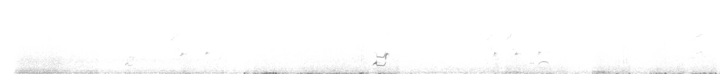 sørtopptinamu - ML658997452
