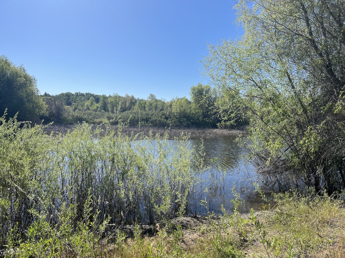 null - ML658999640