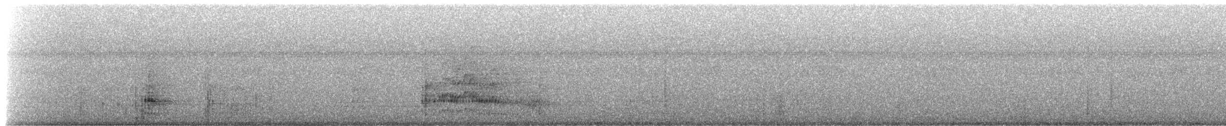 Common Raccoon - ML659005349