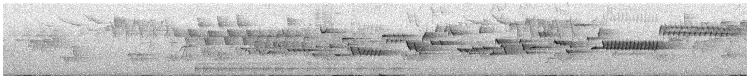 Winter Wren - ML659020457