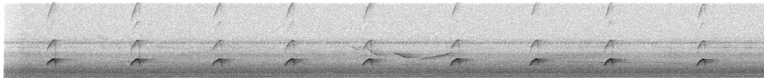 Common Squirrel-Cuckoo - ML659024228