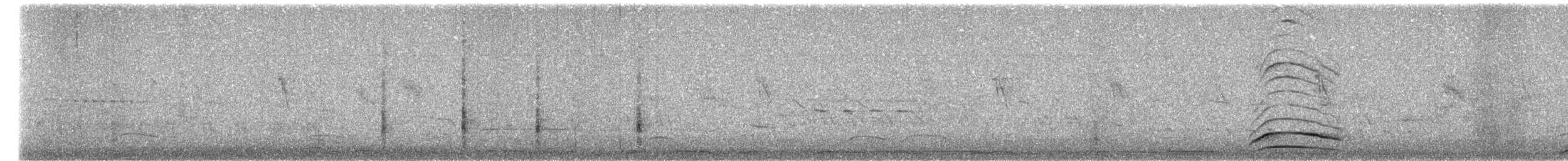 svartbukvaktel - ML659028517