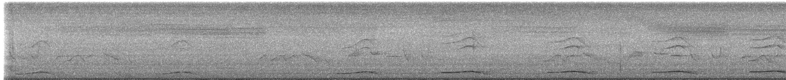 קואל אסייתי - ML659041439