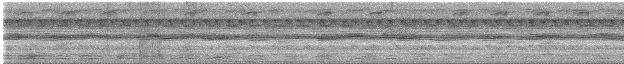 Ібіс строкатошиїй - ML659050481