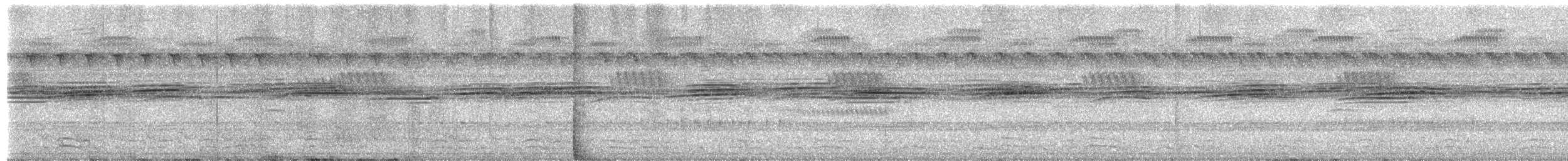 Ібіс строкатошиїй - ML659050789