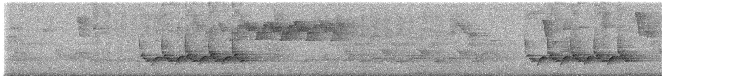 Carolina Wren - ML659050814