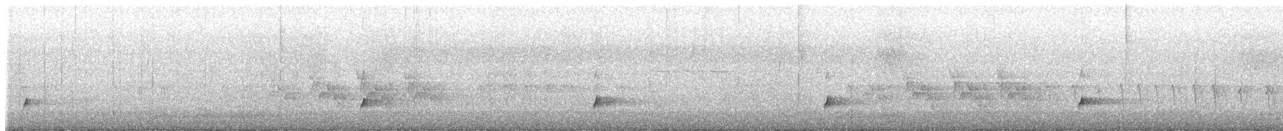 Swainson's Thrush - ML659059681