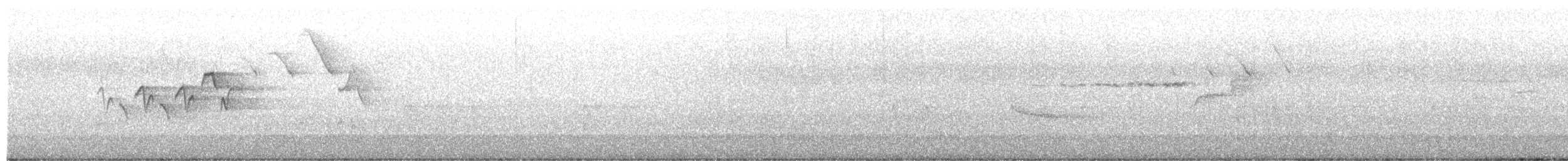 Magnolia Warbler - ML659060255