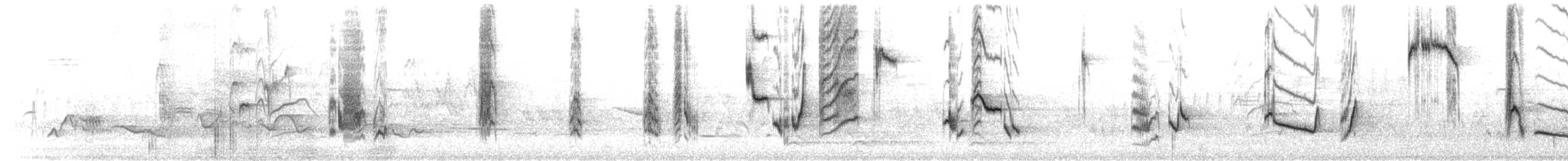 Katzenspottdrossel - ML659069914