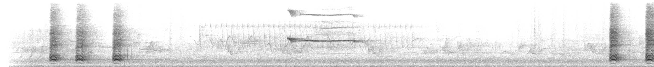 Breitflügelbussard - ML659069962