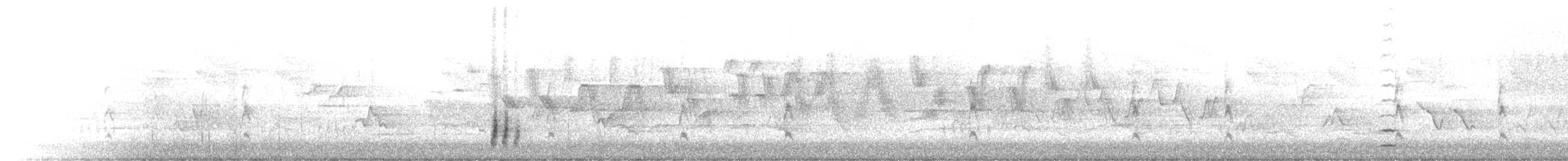 Flötenstärling - ML659069974