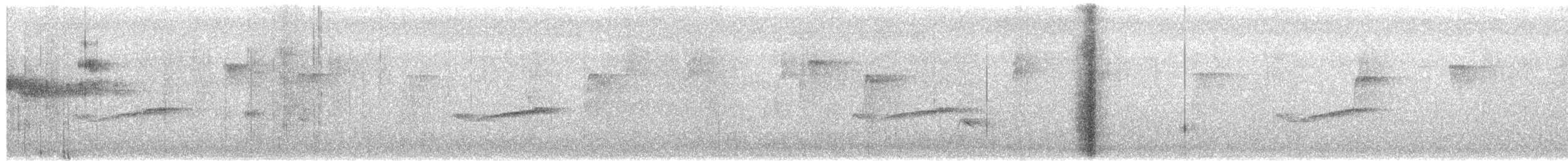 Eastern Wood-Pewee - ML659088480