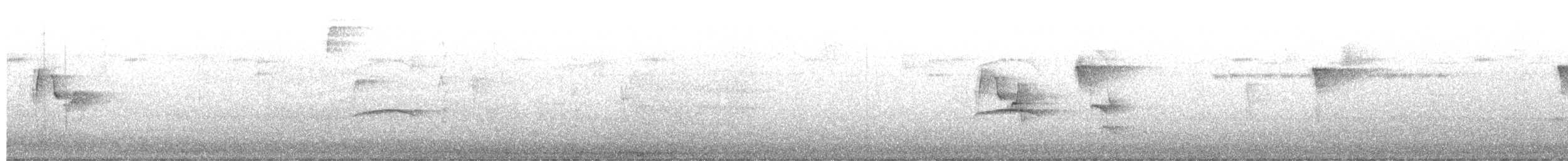 Western Wood-Pewee - ML659089041