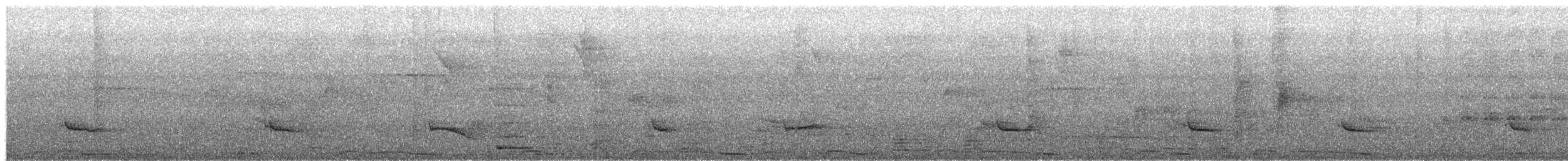 Plain Pigeon - ML659089709