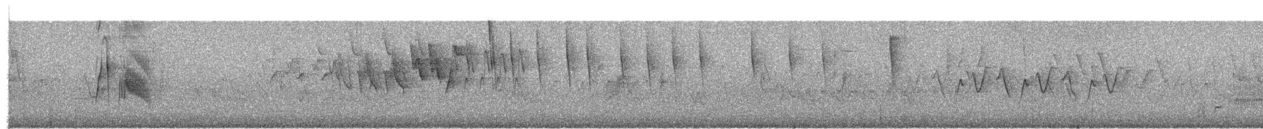 vierempid - ML659120893