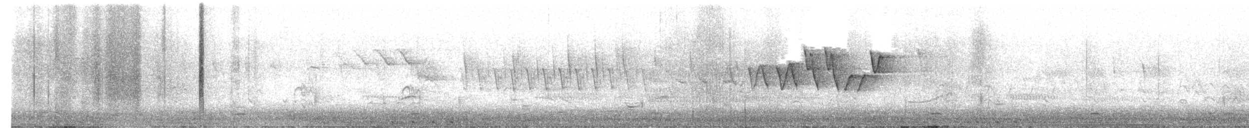 Least Bittern - ML659131854