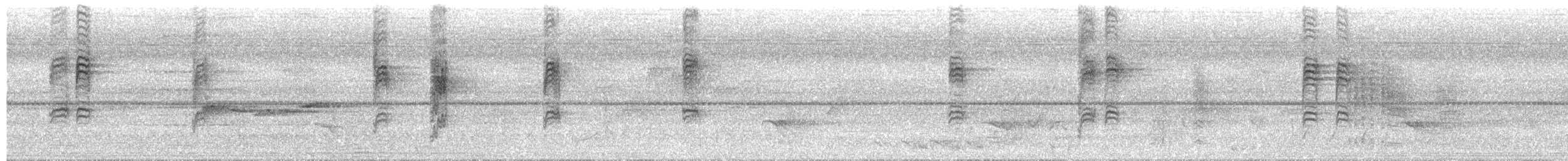 White-bellied Erpornis - ML659142465