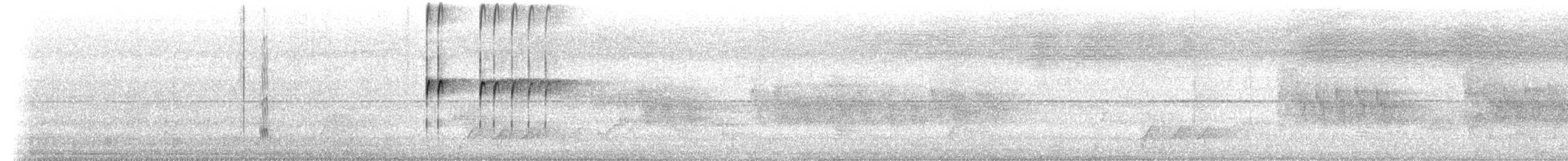 Silver-breasted Broadbill - ML659142566