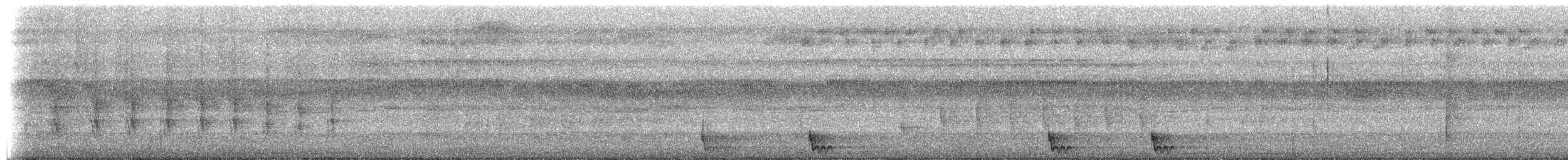 Large-tailed Nightjar - ML659142885