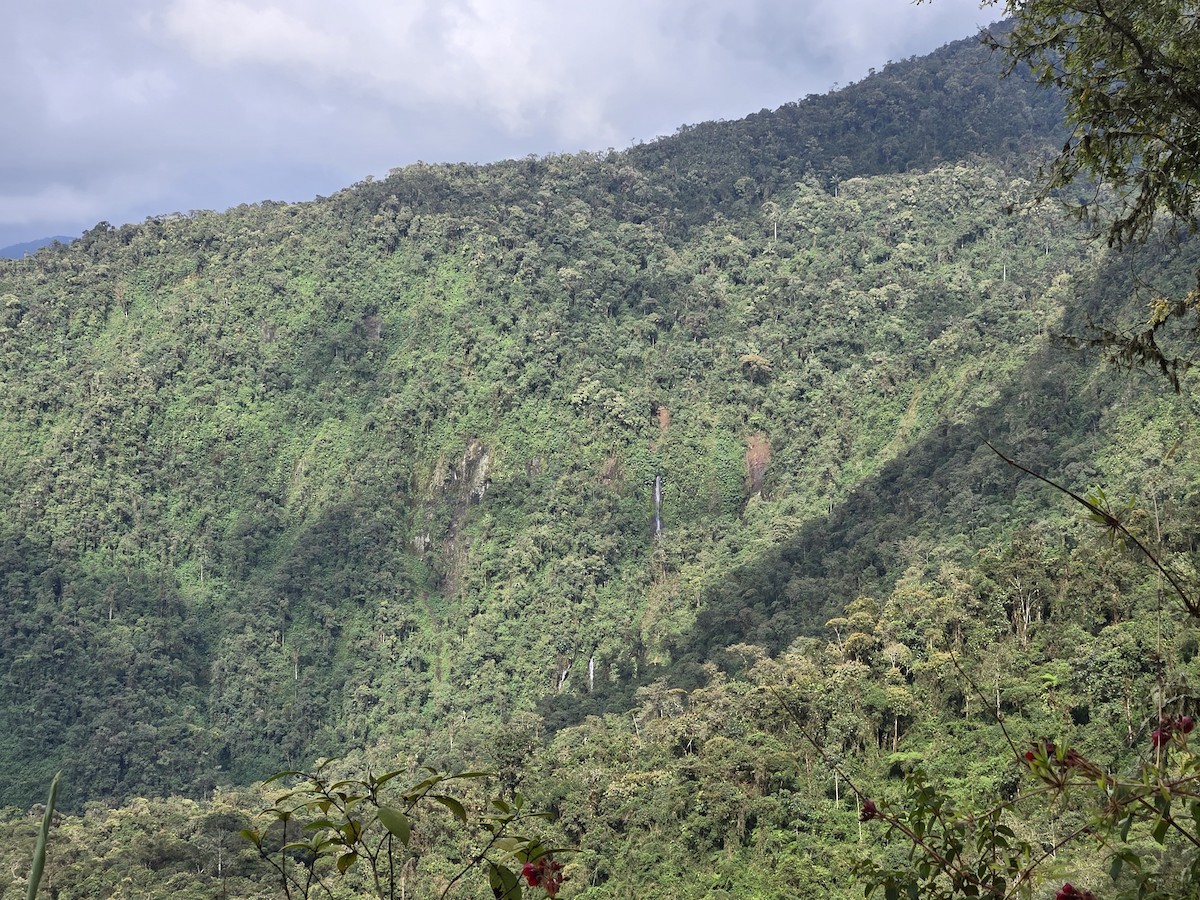 null - ML659148170