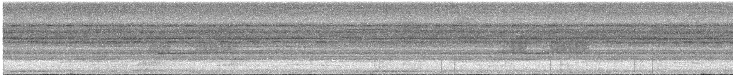 Submontane Spiny-backed Frog - ML659161750