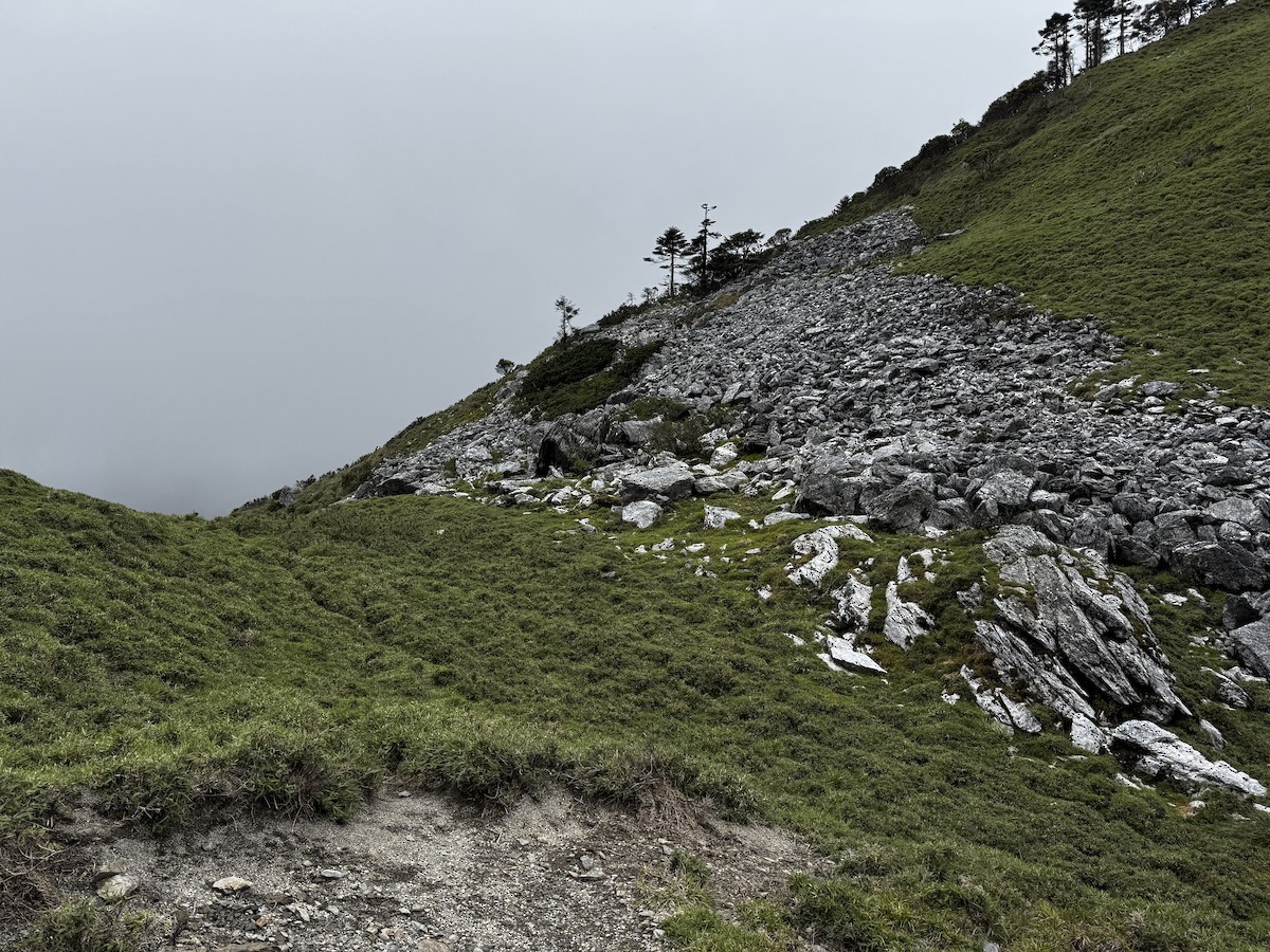 null - ML659167981