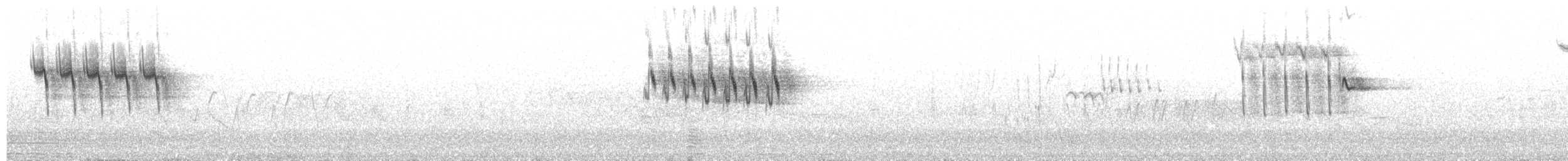 Плиска гірська - ML659168200
