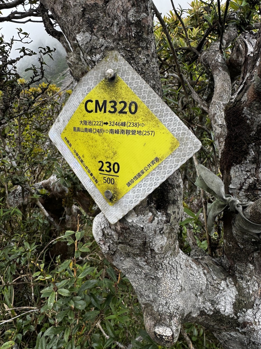 null - ML659168748