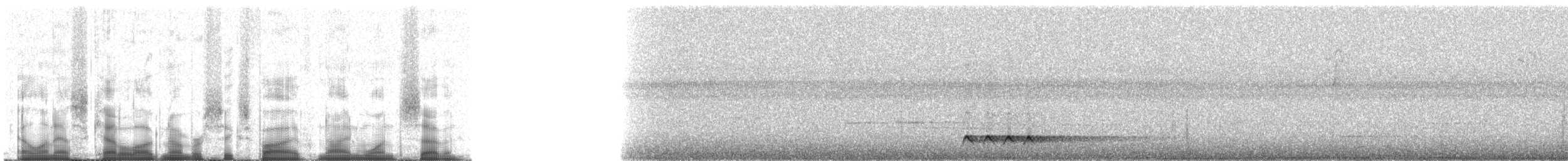 hvitkronegjøk - ML65917