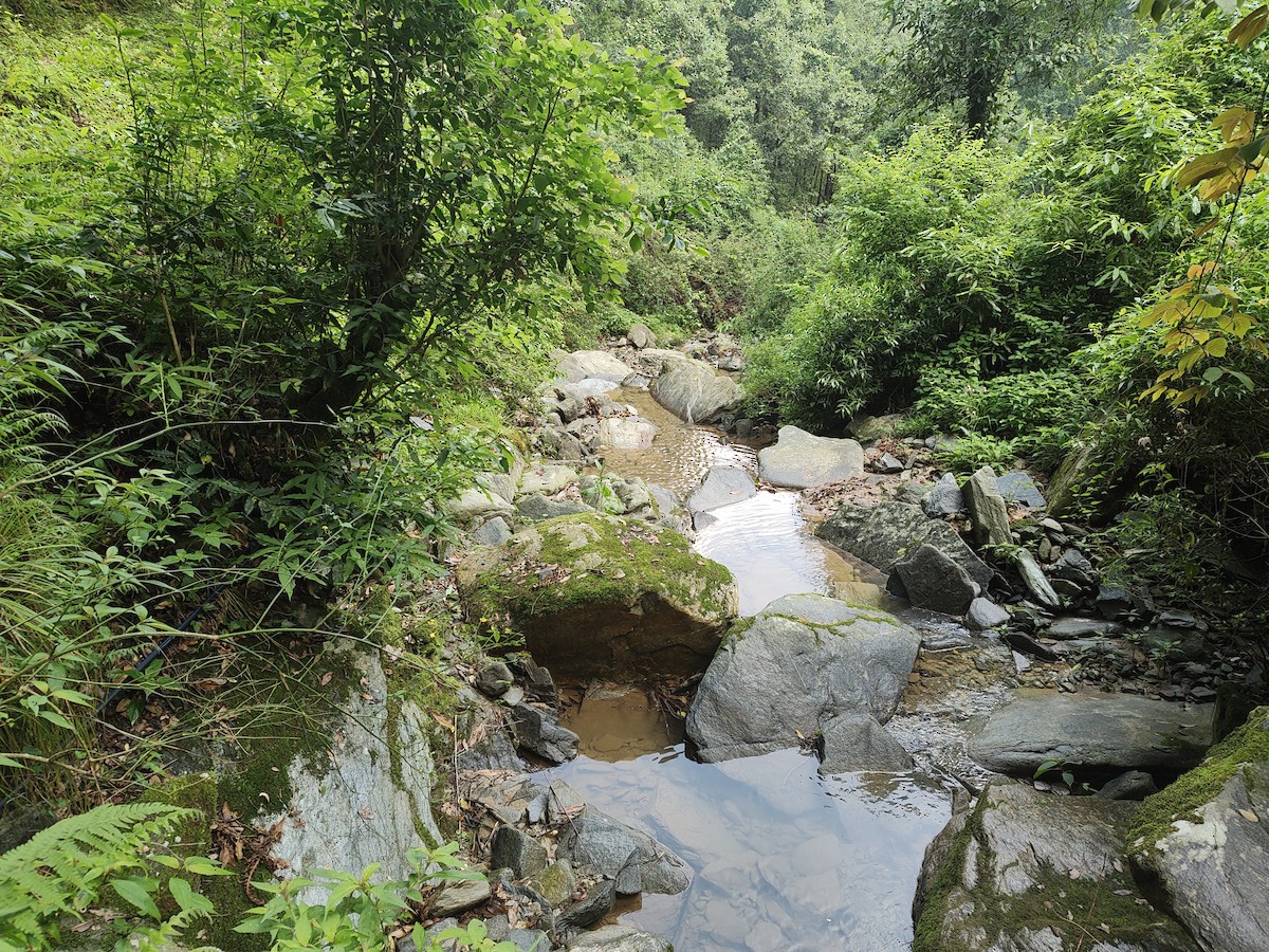 null - ML659173582