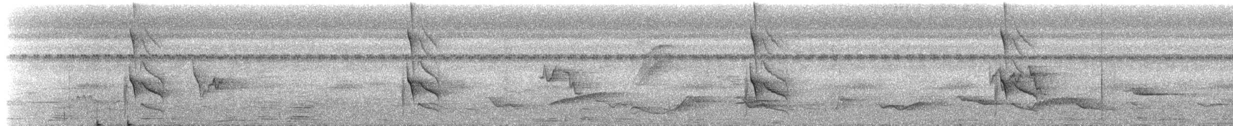 Streaked Flycatcher - ML659176374
